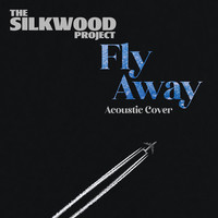 Fly Away (Acoustic Cover)