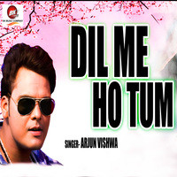 Dil Me Ho Tum