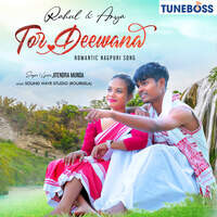 Tor deewana