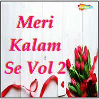 Meri Kalam Se Vol 2