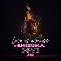 Love Is a Mess (Remix)