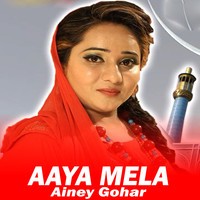 Aaya Mela
