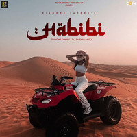 Habibi