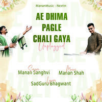 Ae Dhima Pagle Chali GayaUnplugged