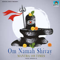 Om Namah Shivay Mantra 108 Times