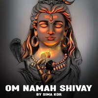 Om Namah Shivay