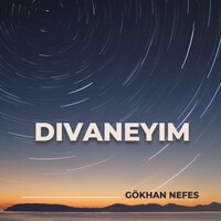 Divaneyim