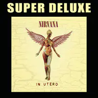 Heart-Shaped Box Song|Nirvana|In Utero (Super Deluxe Edition
