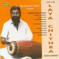 Karaikudi R Mani Laya Chitra Instrumental