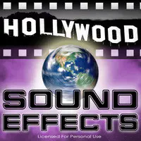 Hollywood Sound Effects - Volume 5