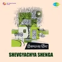 Shevgyachya Shenga