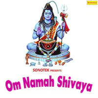 Om Namah Shivaya