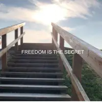 Freedom Is the Secret