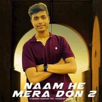 Naam He Mera Don 2
