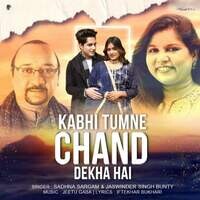 Kabhi Tumne Chand Dekha Hai