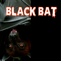 Black Bat