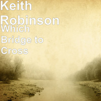 Which Bridge to Cross