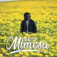 Mimosa