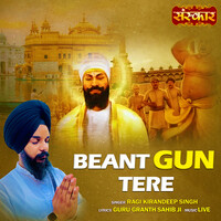 Beant Gun Tere