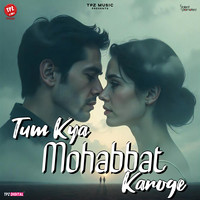 Tum Kya Mohabbat Karoge