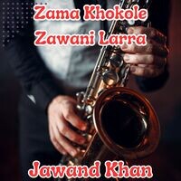 Zama Khokole Zawani Larra