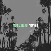 Meri Zindagi