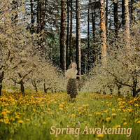 Spring Awakening