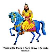 Teri Jai Ho Mohan Ram (Slow + Reverb)