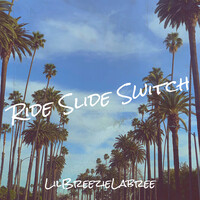 Ride Slide Switch