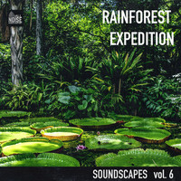 Soundscapes Vol 6 Rainforest Expedition Song Download Soundscapes Vol