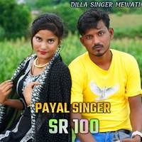 Payal Singer SR 100