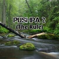 Pushpa 2 (The rule)