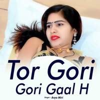 Tor Gori Gori Gaal H