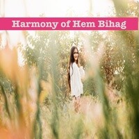 Harmony of Hem Bihag