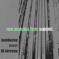 Your Jacaranda Today (Live)