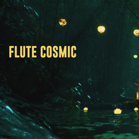 Flute Cosmic