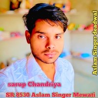 Sr 8530 Aslam Singer Mewati