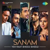 Sanam - Yeh Raat Bheegi Bheegi