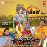 Mujhe Vrindavan Basa De