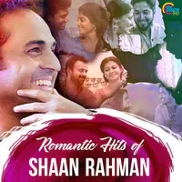 Romantic Hits Of Shaan Rahman