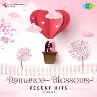 Romance Blossoms - Recent Hits