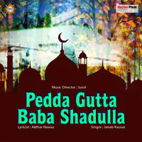 Pedda Gutta Baba Shadulla