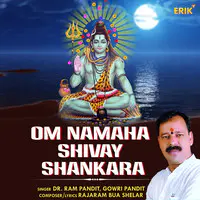 Om Namaha Shivay Shankara