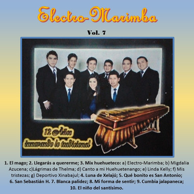 Luna de Xelaju MP3 Song Download by Electro-Marimba (12 Años Innovando Lo  Tradicional Vol. 7)| Listen Luna de Xelaju Spanish Song Free Online