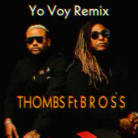 Yo Voy (Remix)
