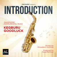 Saxophone Instrumental Music - Introduction