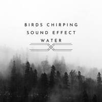 Birds Chirping Sound Effect Song Download: Birds Chirping Sound Effect