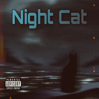 Night Cat