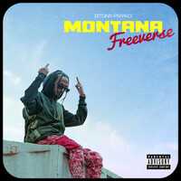 Montana Freeverse
