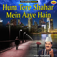 Hum Tere Shahar Mein Aaye Hain